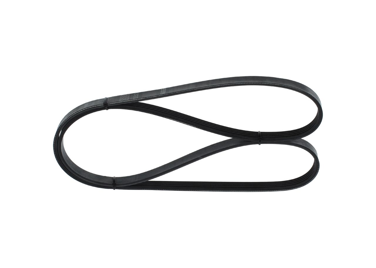 V-ribbed Belt