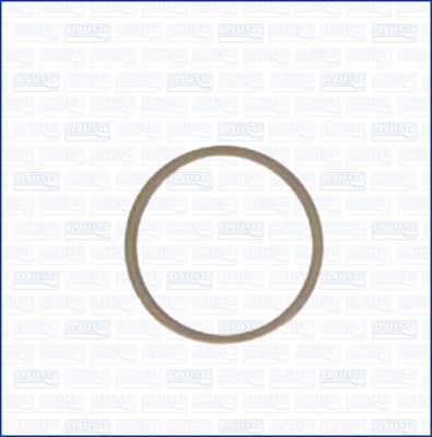 Seal Ring, oil drain plug-1