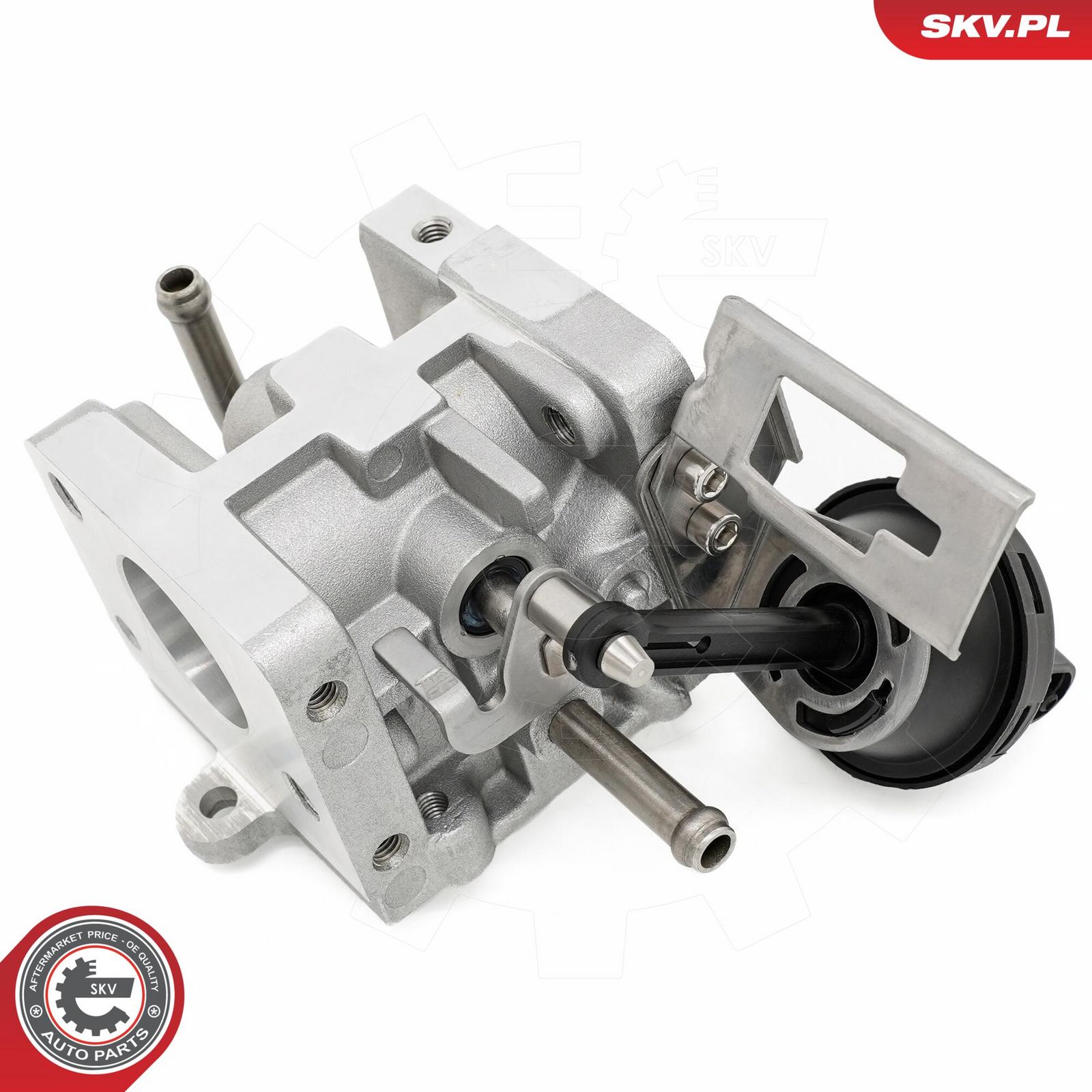 EGR Valve-1