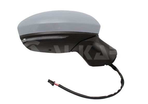 Exterior Mirror
