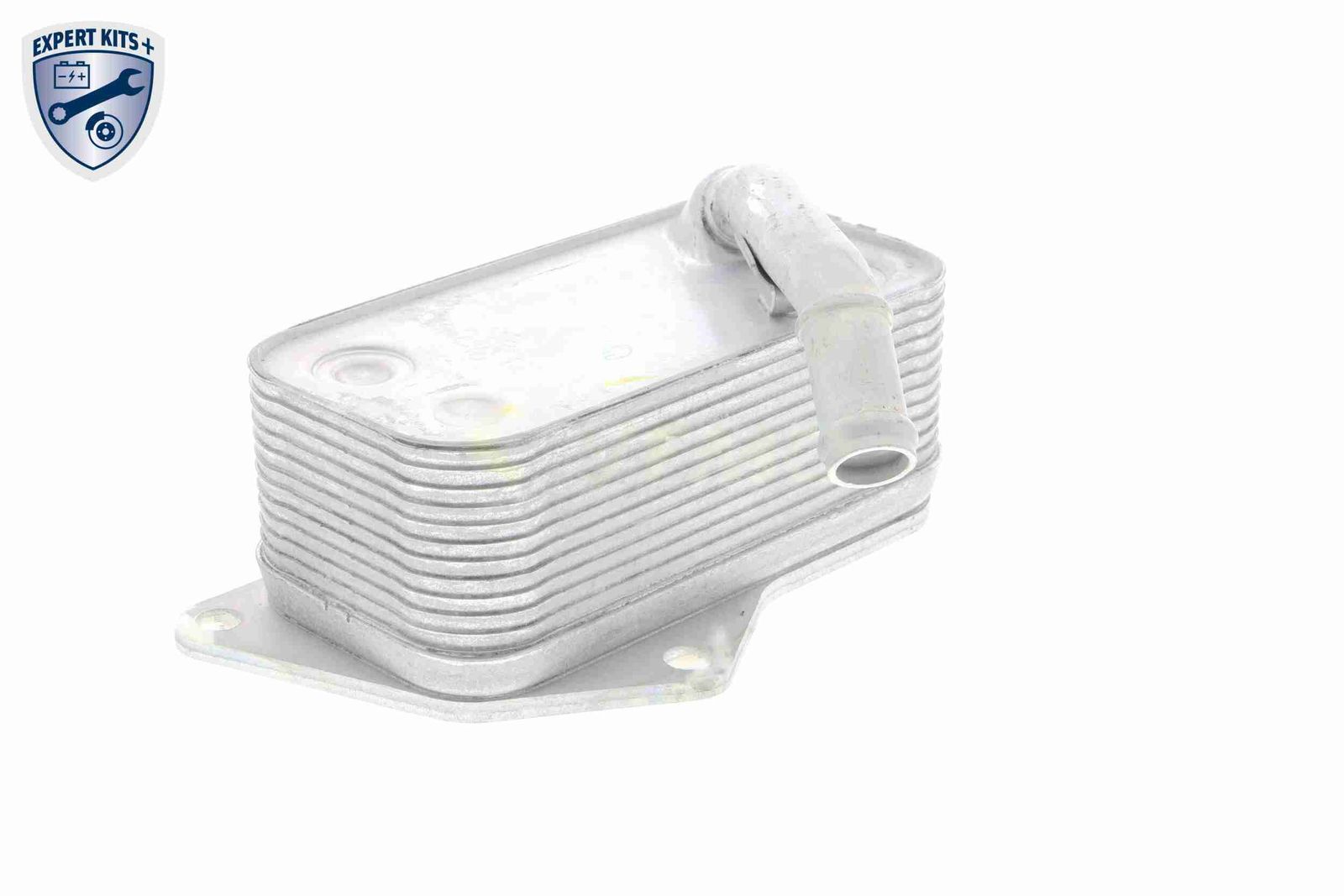 Oil Cooler, engine oil-9