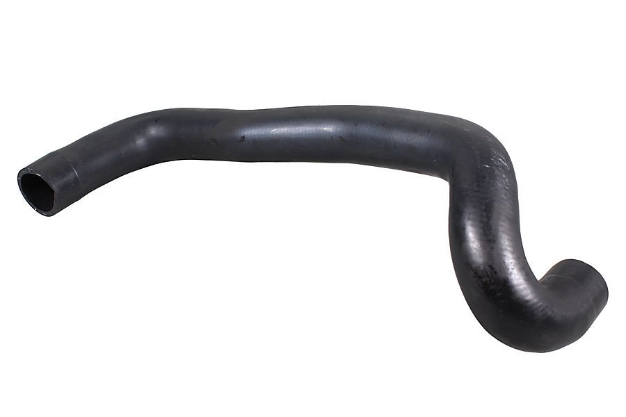 Radiator Hose-main