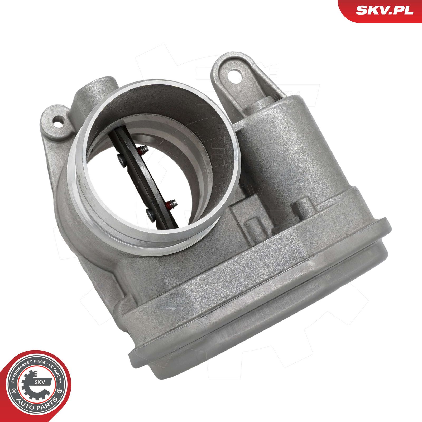 ESEN SKV 12SKV170 Throttle body