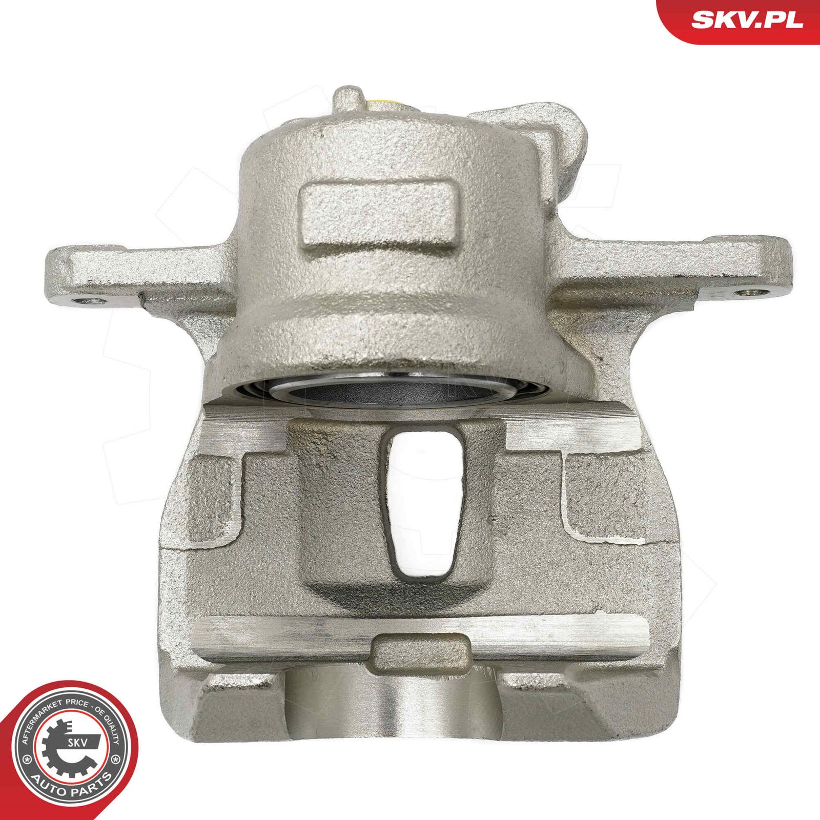 Brake Caliper-1