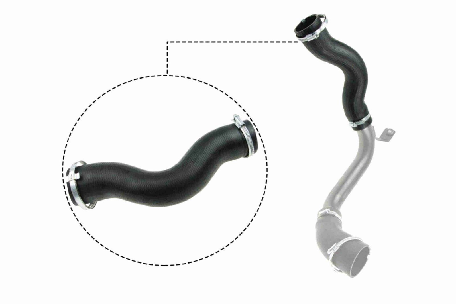 VAICO V25-1030 Charge air hose