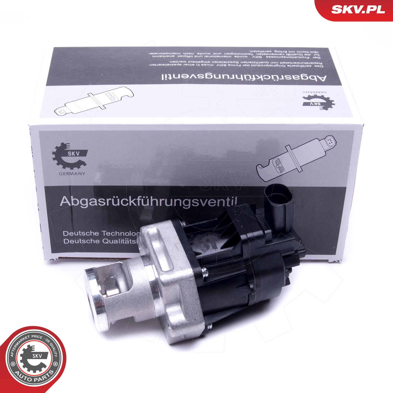EGR Valve-4