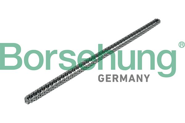 BORSEHUNG B17908 Timing chain