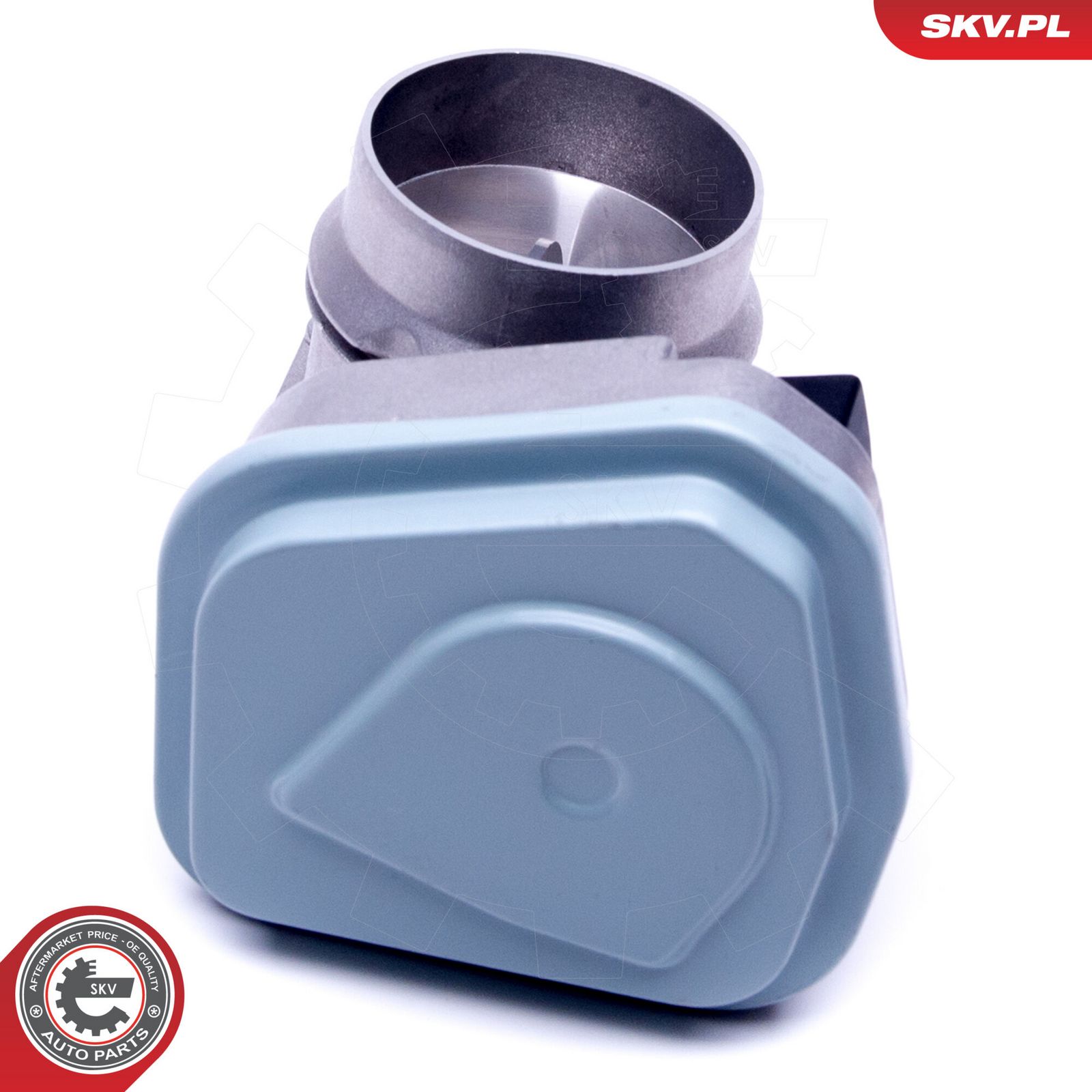 Throttle Body-1