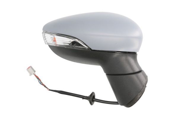 Exterior Mirror-1