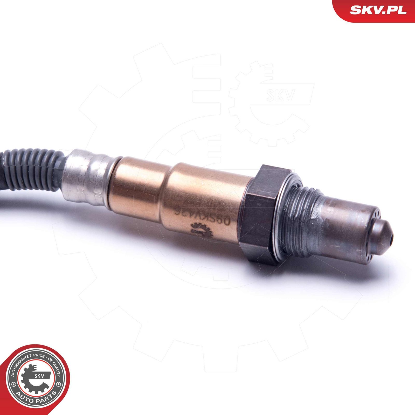 Oxygen Sensor-1