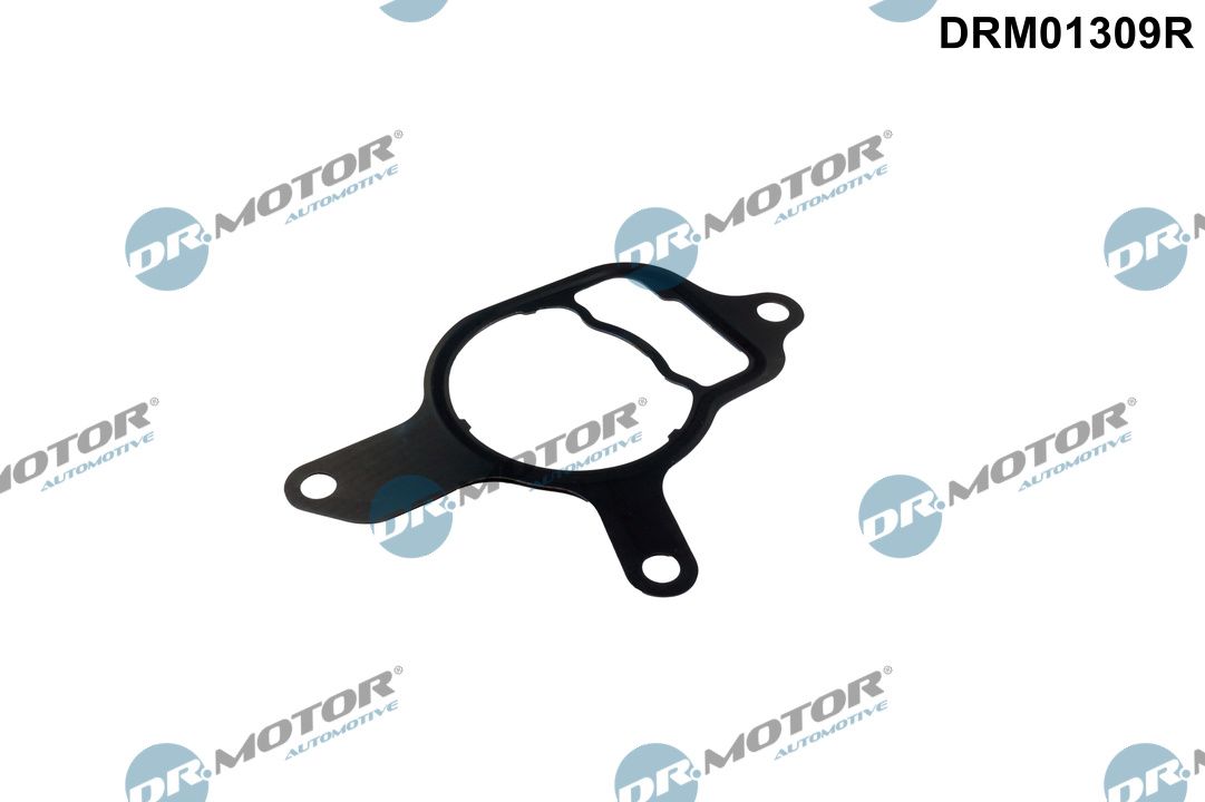 DR.MOTOR AUTOMOTIVE DRM01309R Gasket, vacuum pump