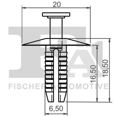 Clip, trim/protection strip-1