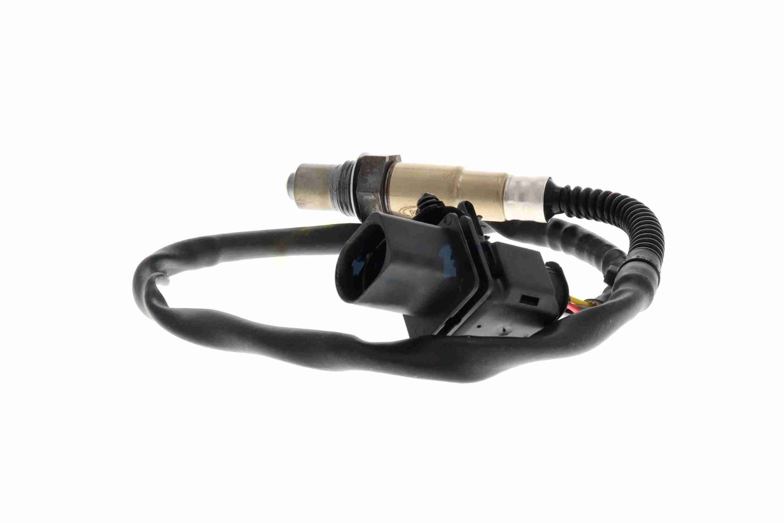 Oxygen Sensor-5