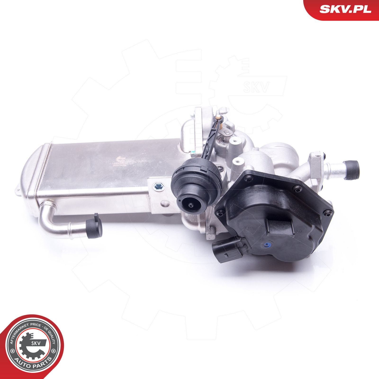 EGR Valve-4