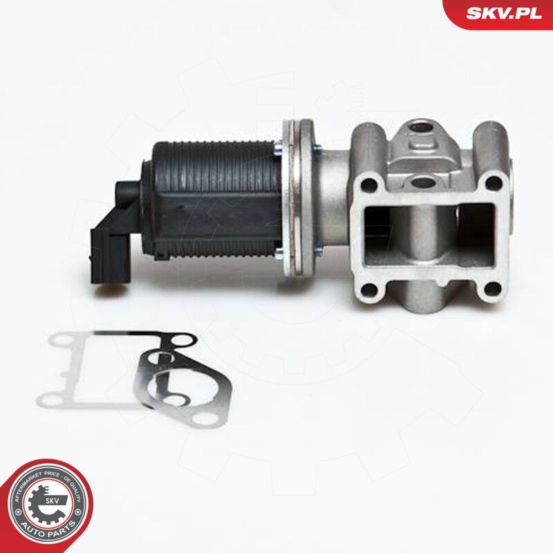 EGR Valve-2