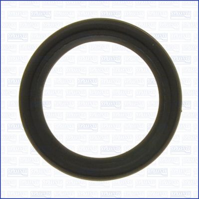 AJUSA 01100500 Seal, adjusting element (eccentric shaft)