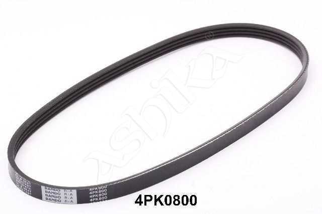 ASHIKA 112-4PK800 V-ribbed belt