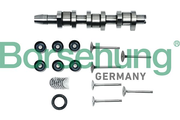 BORSEHUNG B17130 Repair kit, intermediate shaft