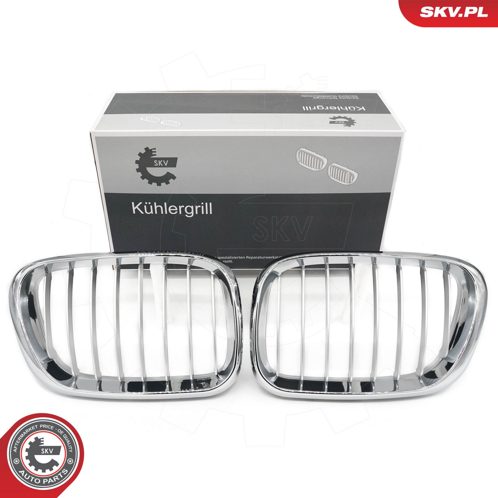 Radiator Grille-10