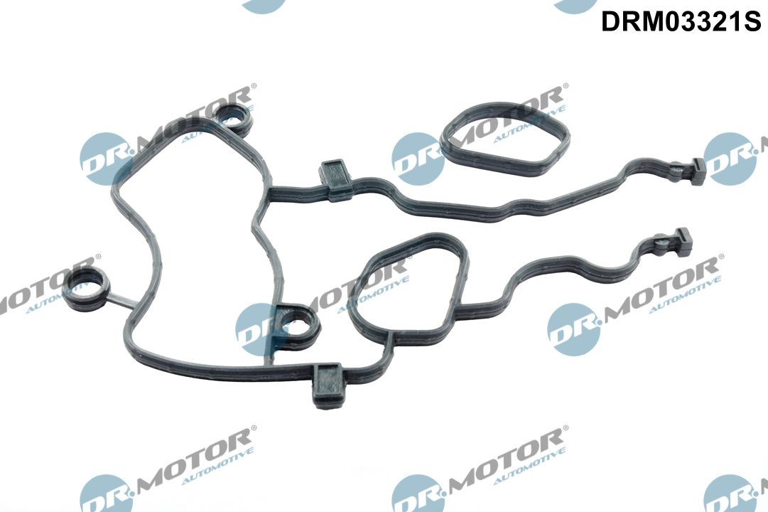 DR.MOTOR AUTOMOTIVE DRM03321S Gasket kit, timing case