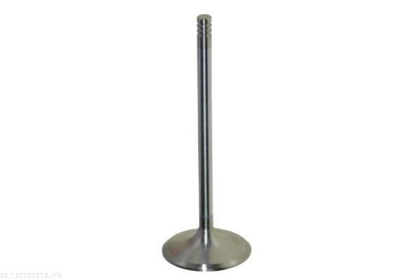 AUTOMEGA 130107210 Intake valve