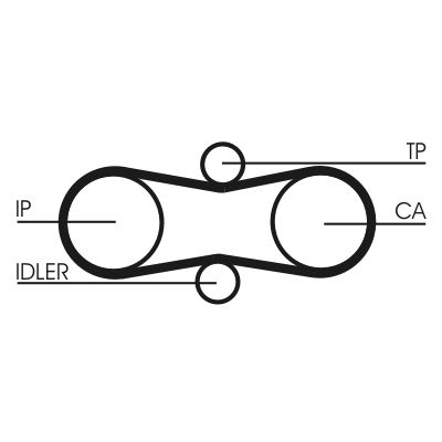 Timing Belt-1