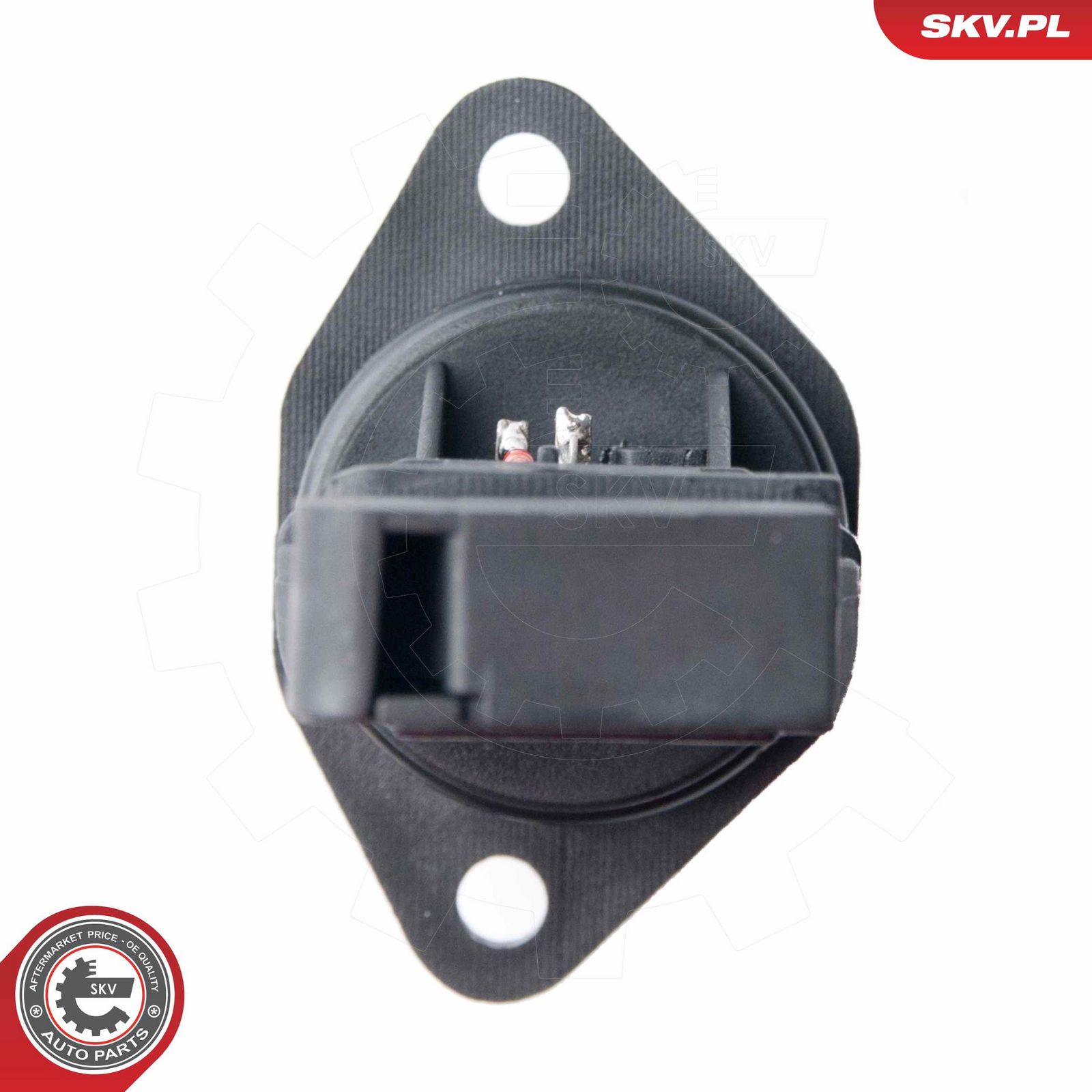 Mass Air Flow Sensor-4