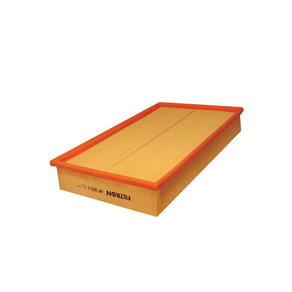 FILTRON AP 165/1 Air filter