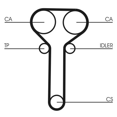 Timing Belt-1