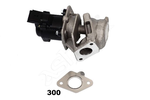 EGR Valve-1