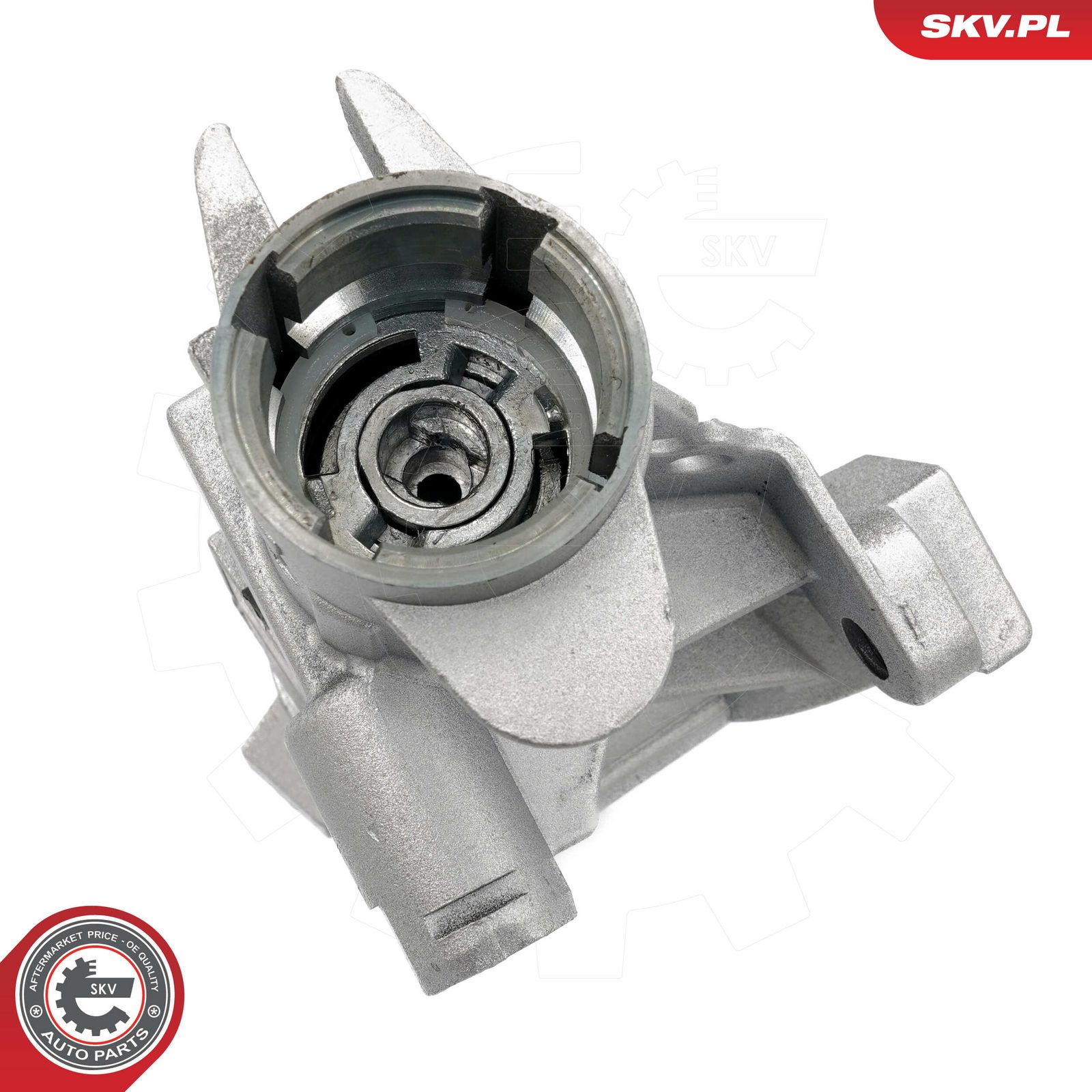 Steering Lock-5