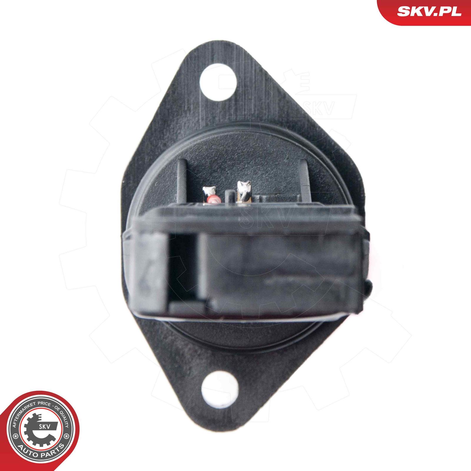 Mass Air Flow Sensor-2