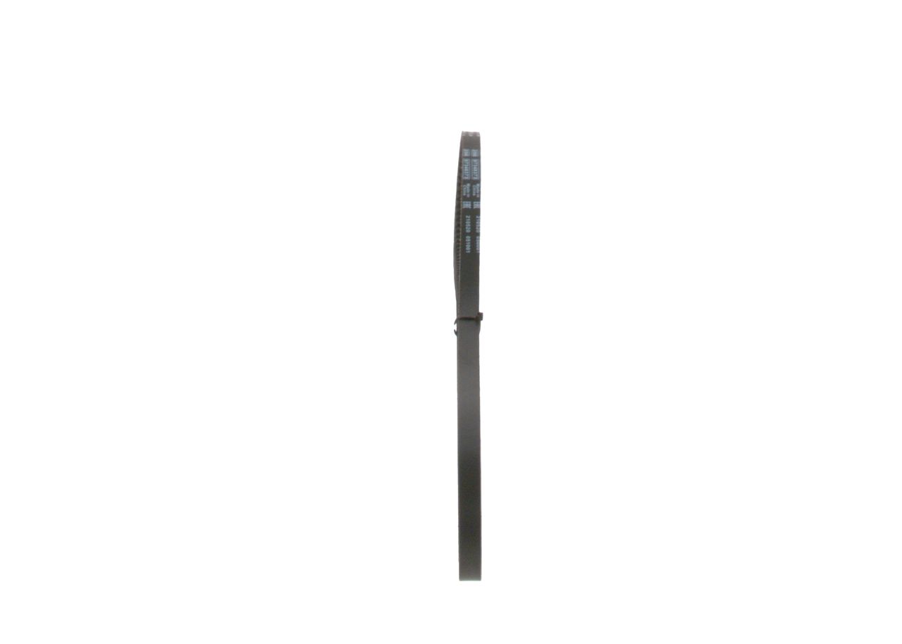 V-Belt-3