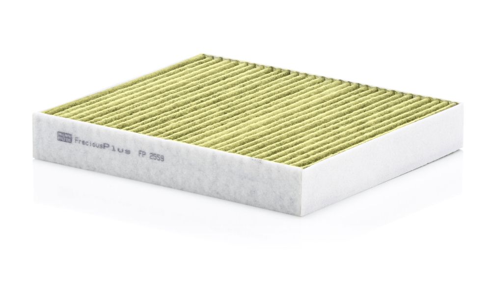 filtras, salono oras