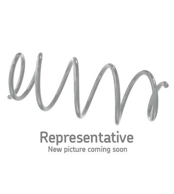 SKF VKDL 31624 Spyruoklė