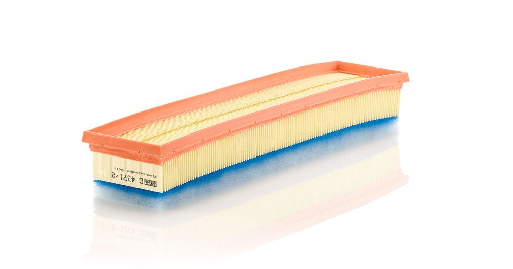 MANN-FILTER C 4371/2 Air filter