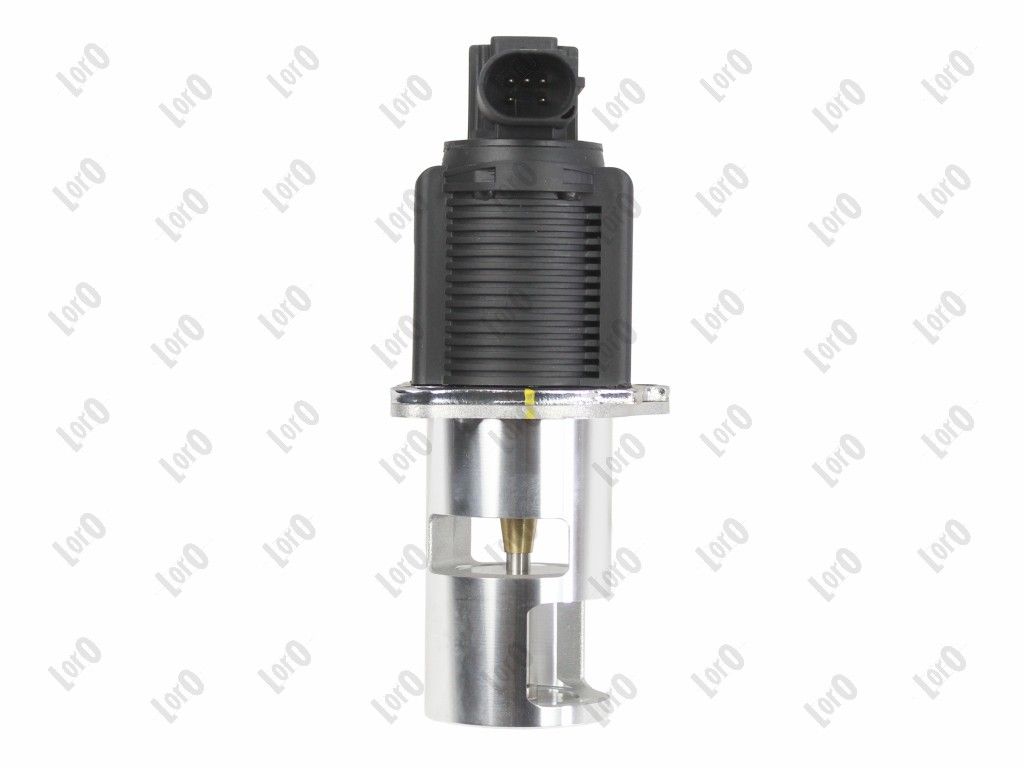 EGR Valve-2