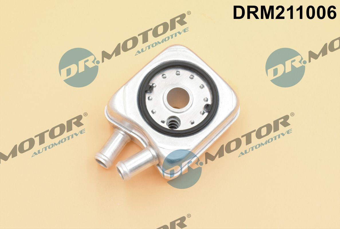 DR.MOTOR AUTOMOTIVE DRM211006 Oil cooler, engine oil