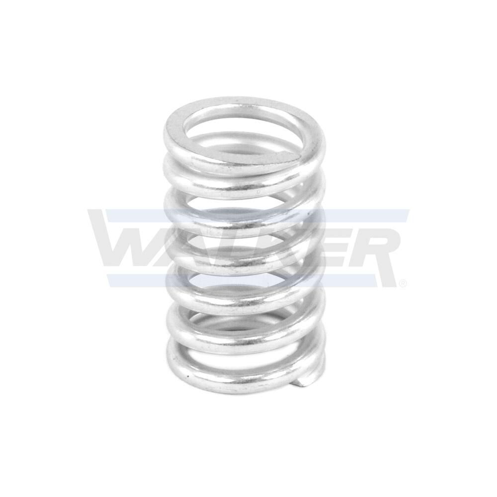 Spring, muffler-2