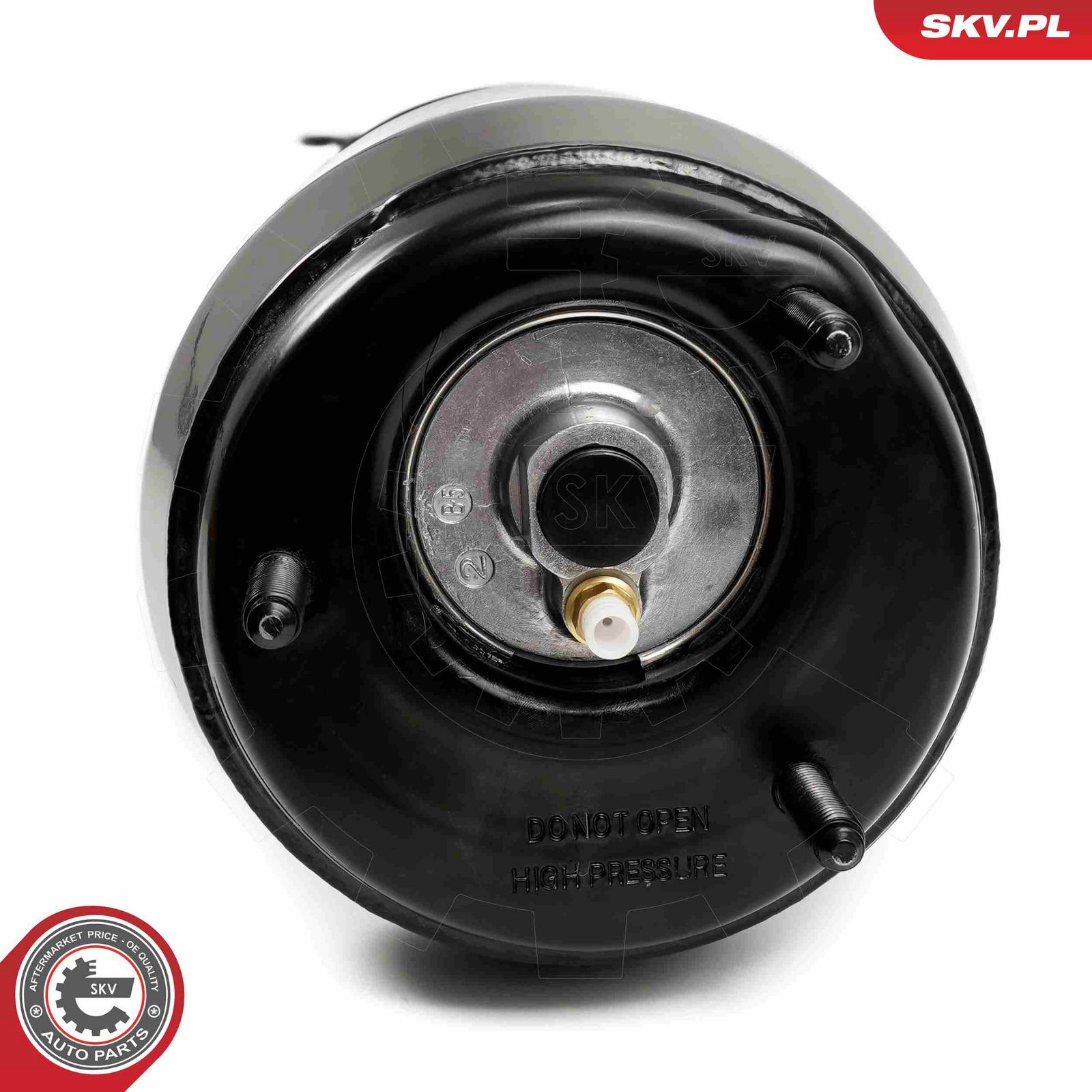Air Suspension Strut-main