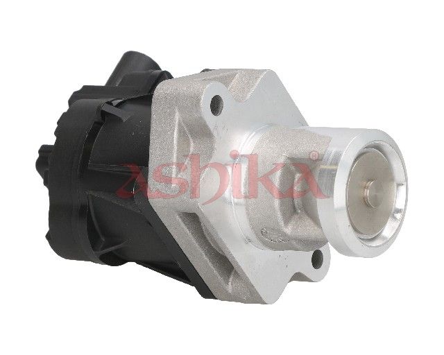EGR Valve-1