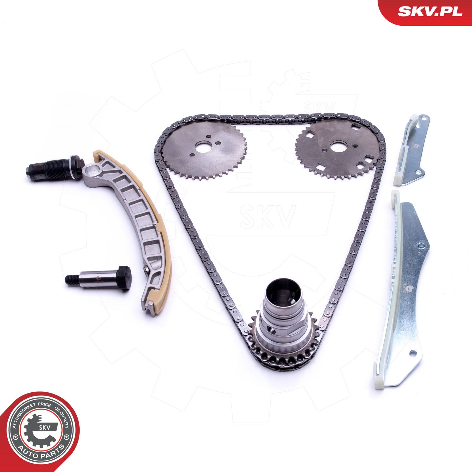 Timing Chain Kit