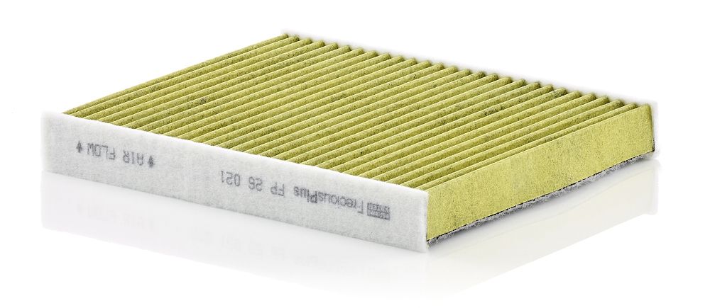 MANN-FILTER FP 26 021 Filtras, salono oras