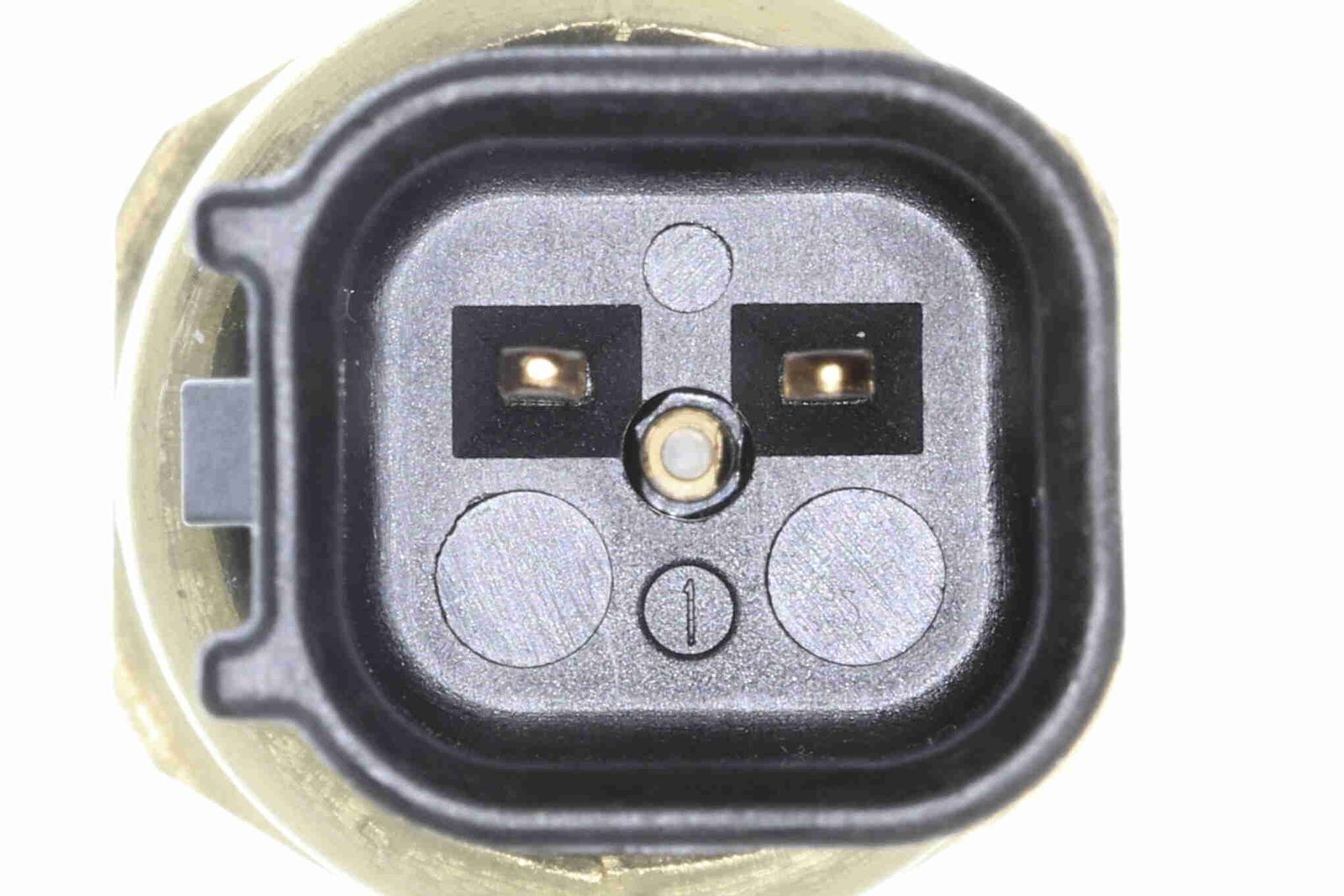Oil Pressure Switch-1
