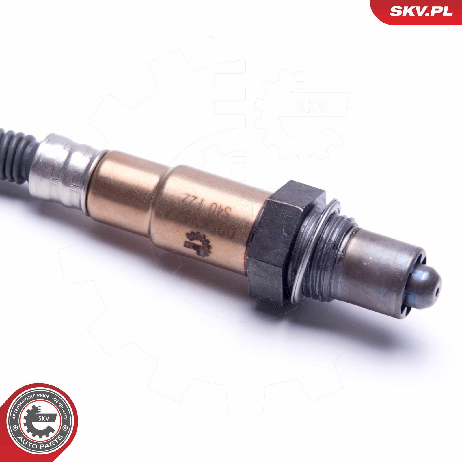 Oxygen Sensor-2