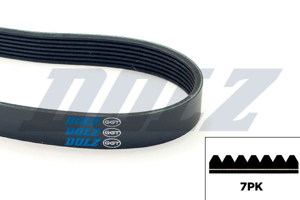 DOLZ 05KD7PK1179E V-ribbed belt