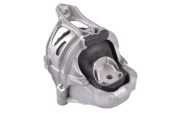 TEDGUM TED69449 Mounting, engine