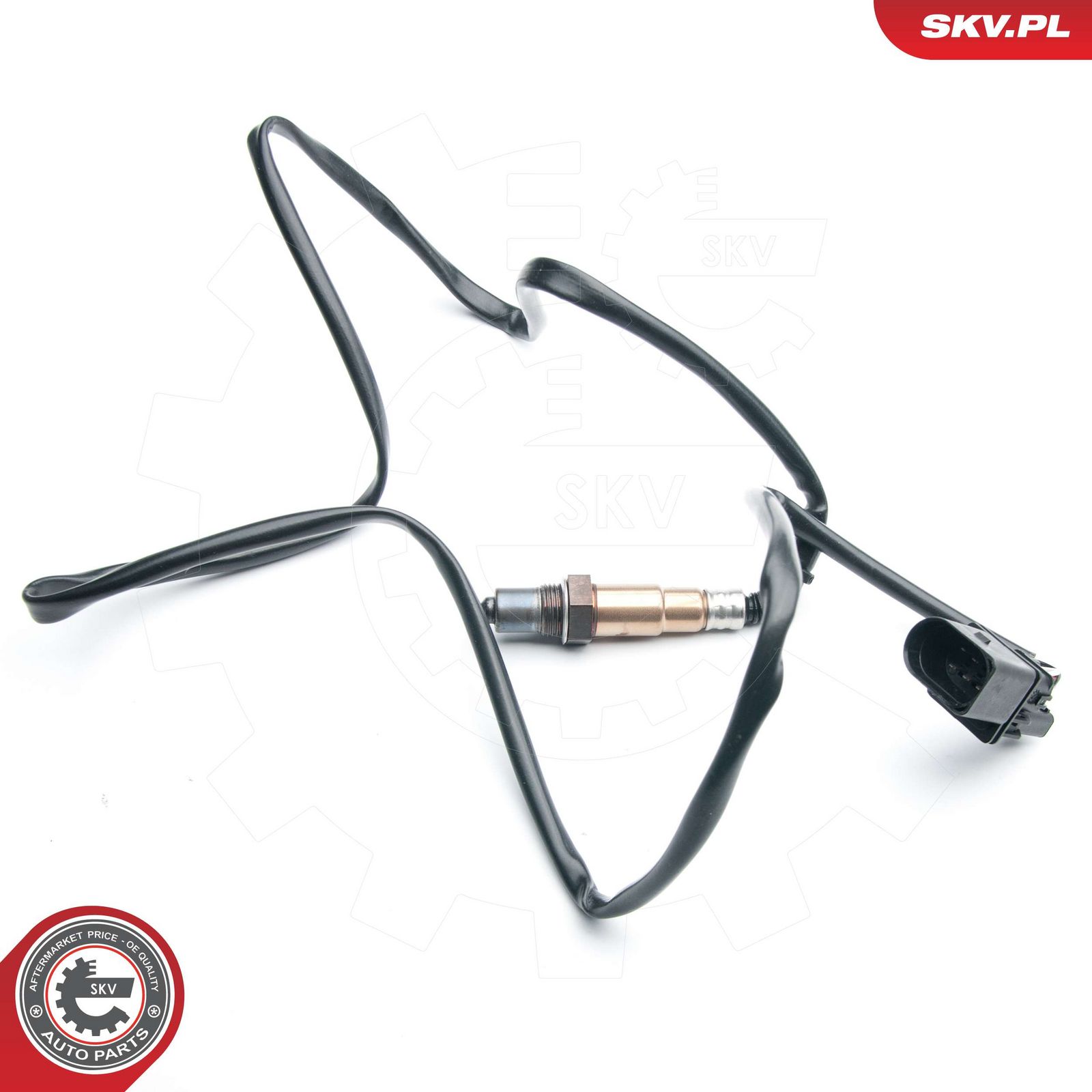 Oxygen Sensor-2
