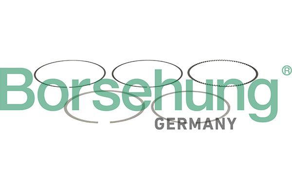 BORSEHUNG B13257 Piston ring set