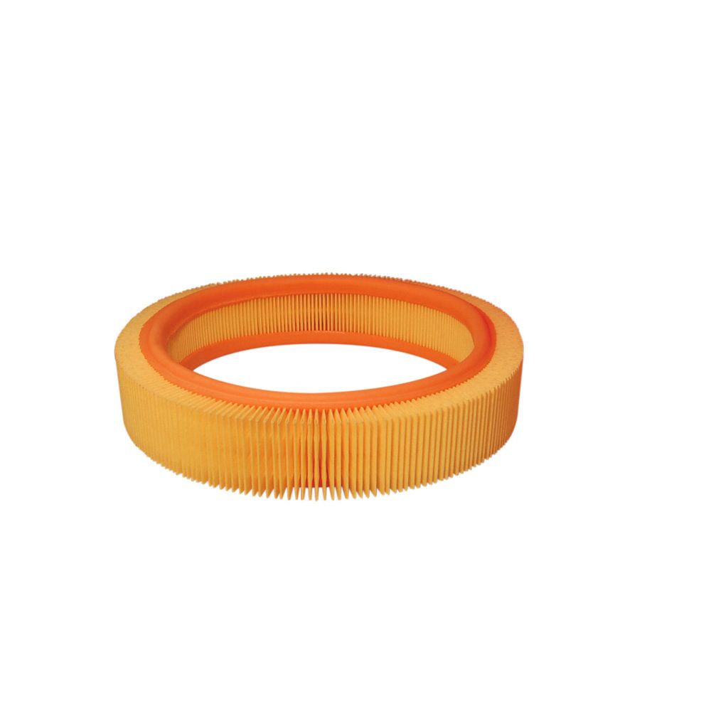 FILTRON AR 202 Air filter